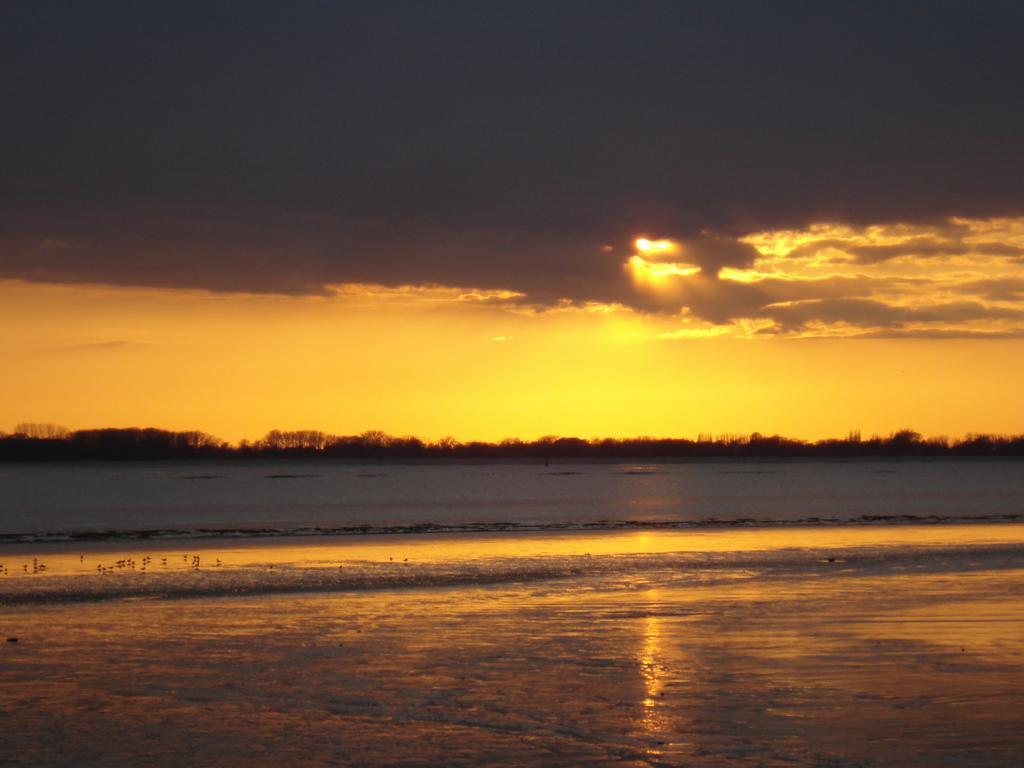 Elbe Ferienwohnung Gluckstadt Bagian luar foto