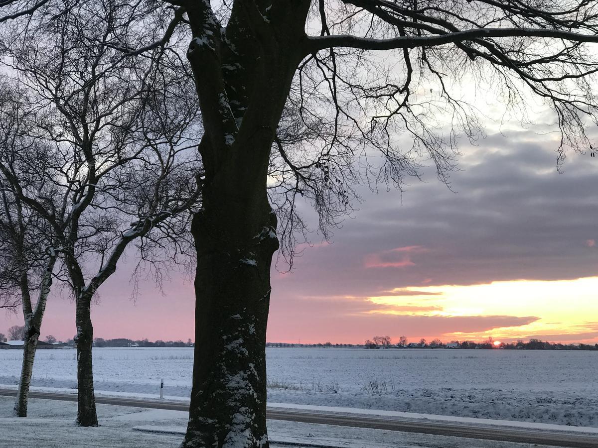 Elbe Ferienwohnung Gluckstadt Bagian luar foto